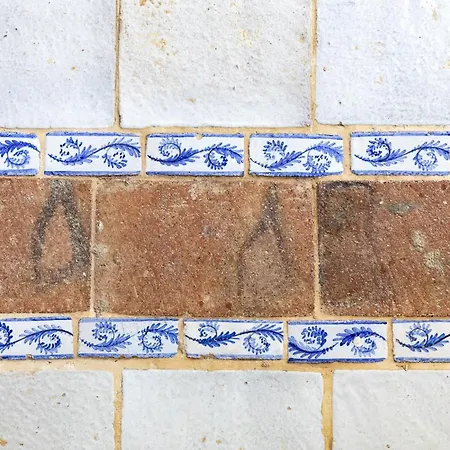 別荘 Maison Brave A Due Passi Dal Mare サンタ・マリア・デル・フォカッロ