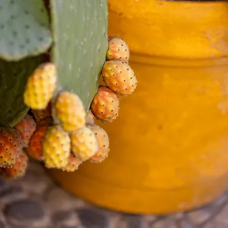 Maison Brave A Due Passi Dal Mare