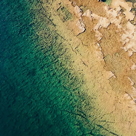 Maison Brave A Due Passi Dal Mare 別荘 *