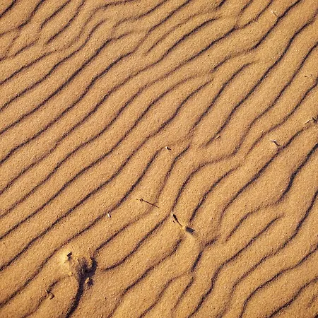 別荘 Maison Brave A Due Passi Dal Mare *