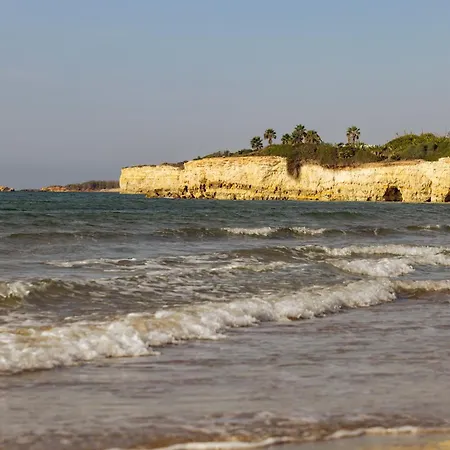 Maison Brave A Due Passi Dal Mare * サンタ・マリア・デル・フォカッロ